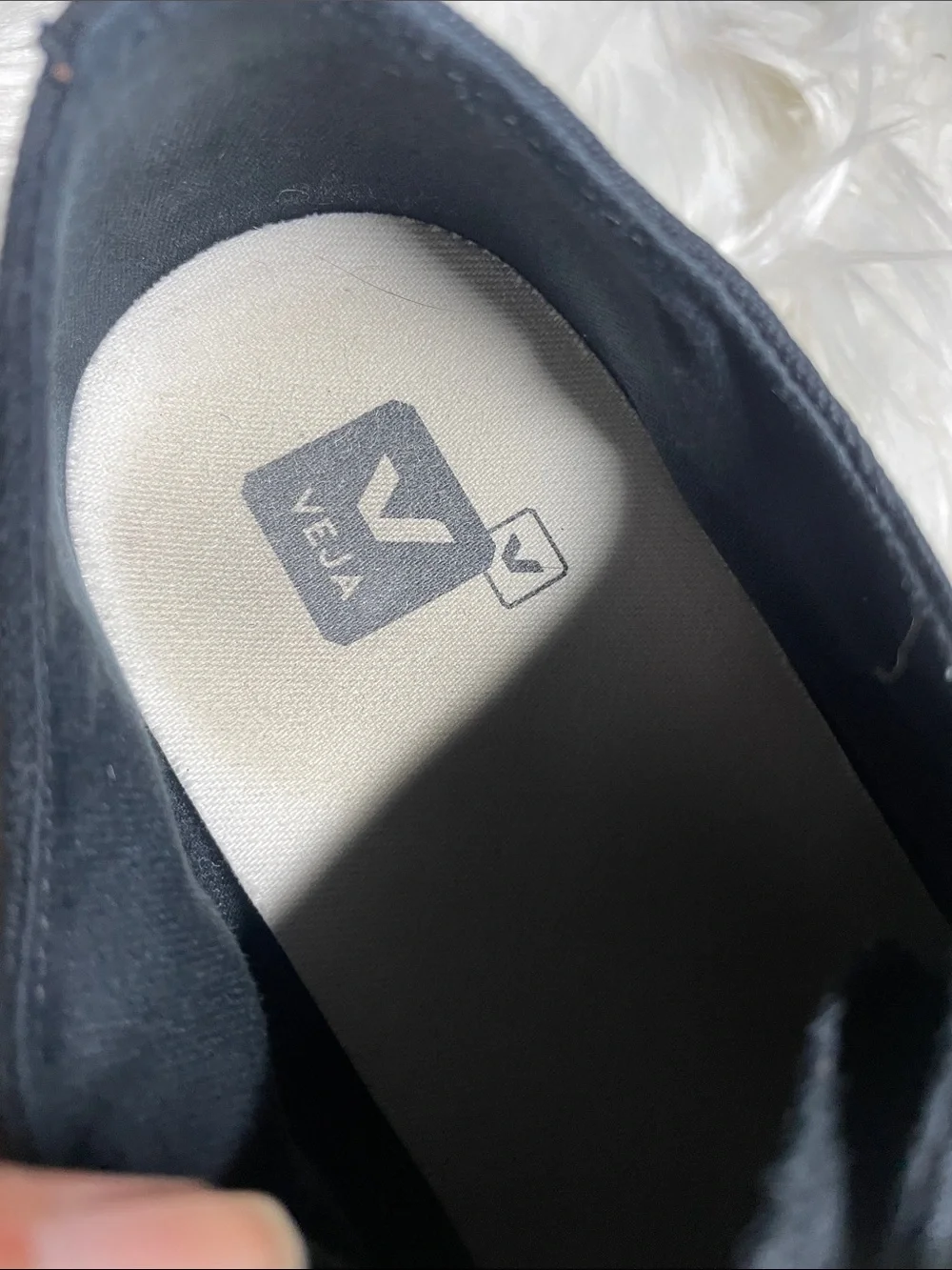 Veja Black Canvas V-10 Style Sneakers with White Accents